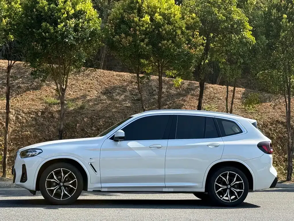 BMW X3 2023 из CN, фото 10