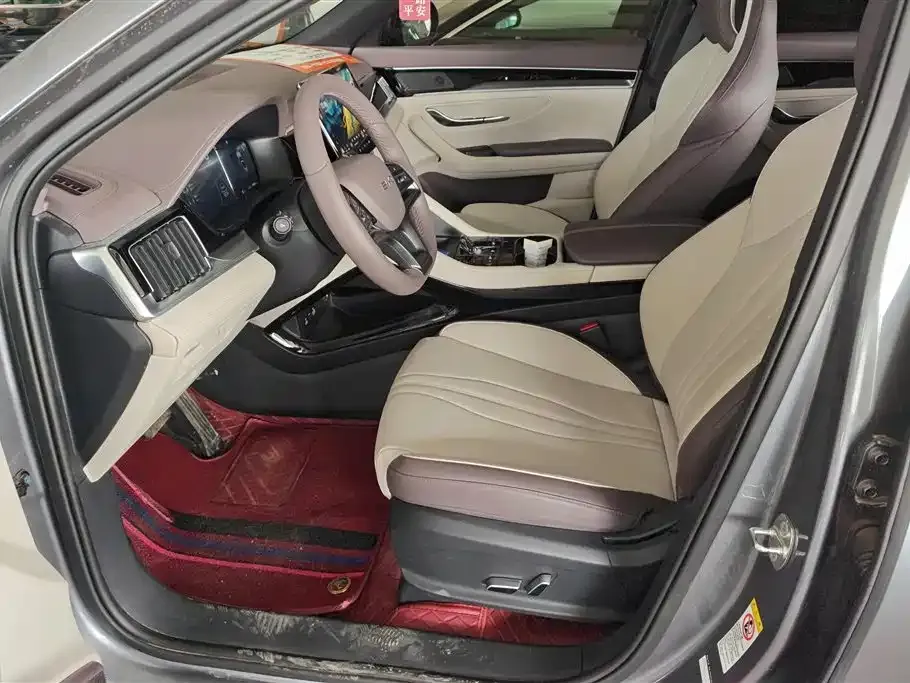 BYD PLUS New Energy — фото 6