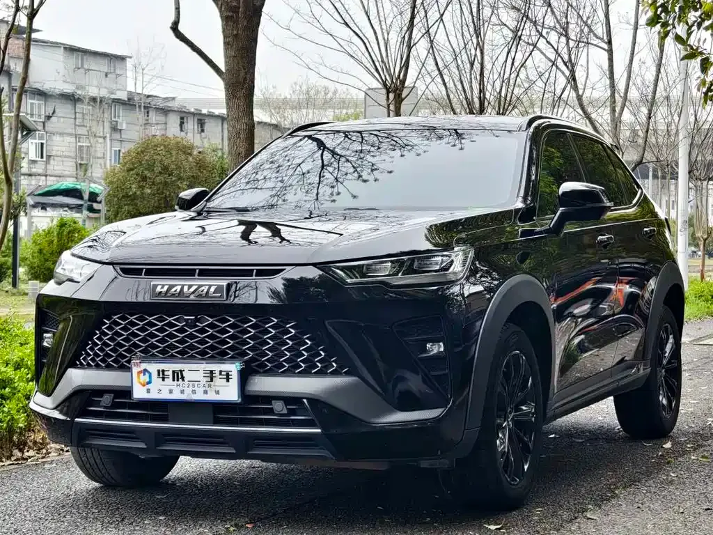 Haval H6S 2023 из CN, фото 10