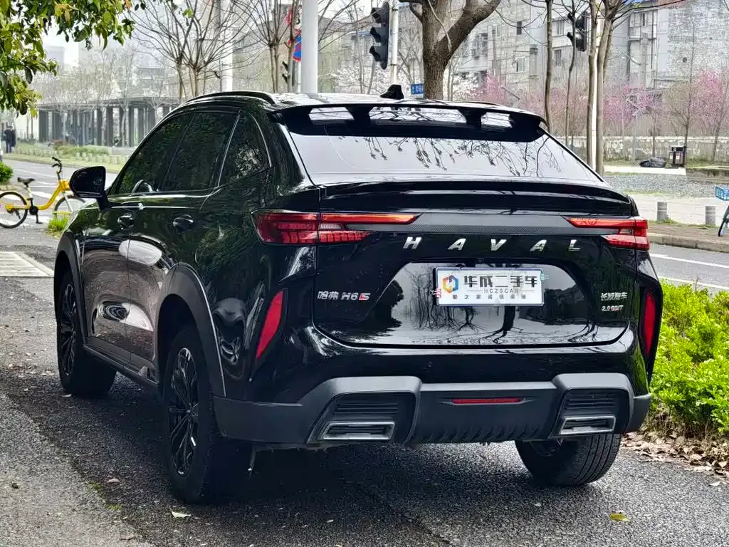 Haval H6S 2023 из CN, фото 7