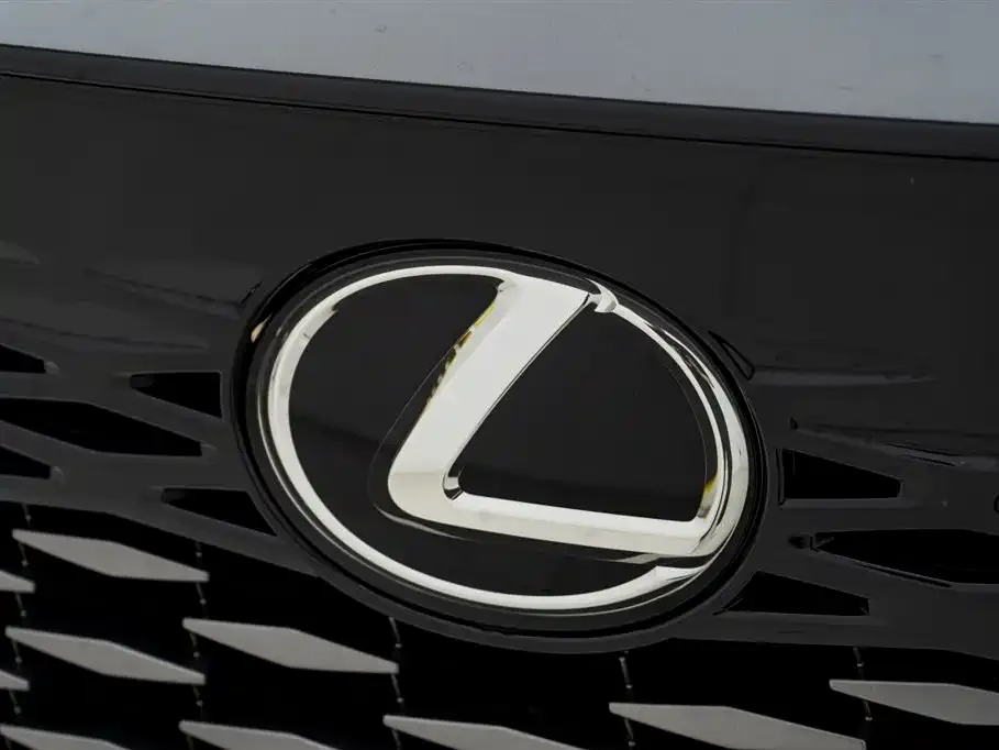 Lexus RX — фото 2
