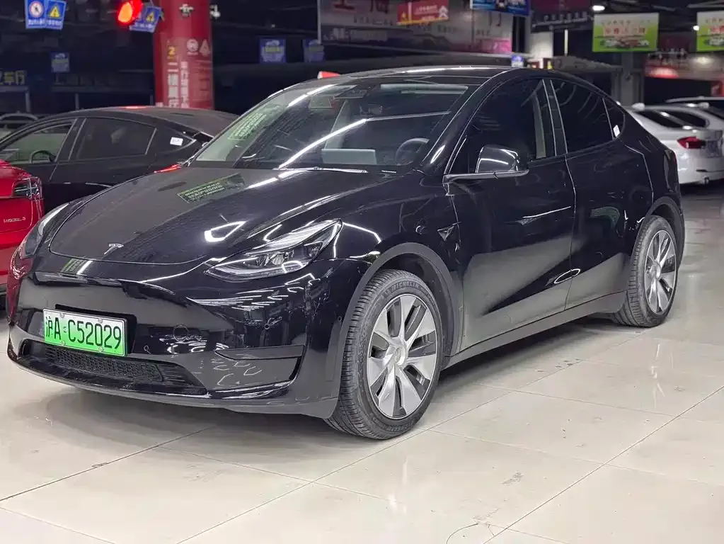 Tesla Model Y — фото 1