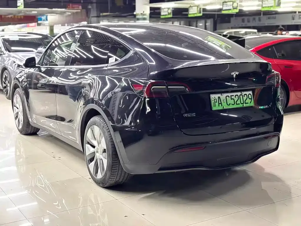 Tesla Model Y — фото 2