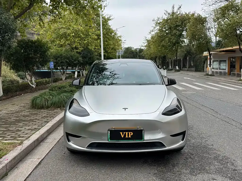 Tesla Model Y 2022 из CN, фото 1