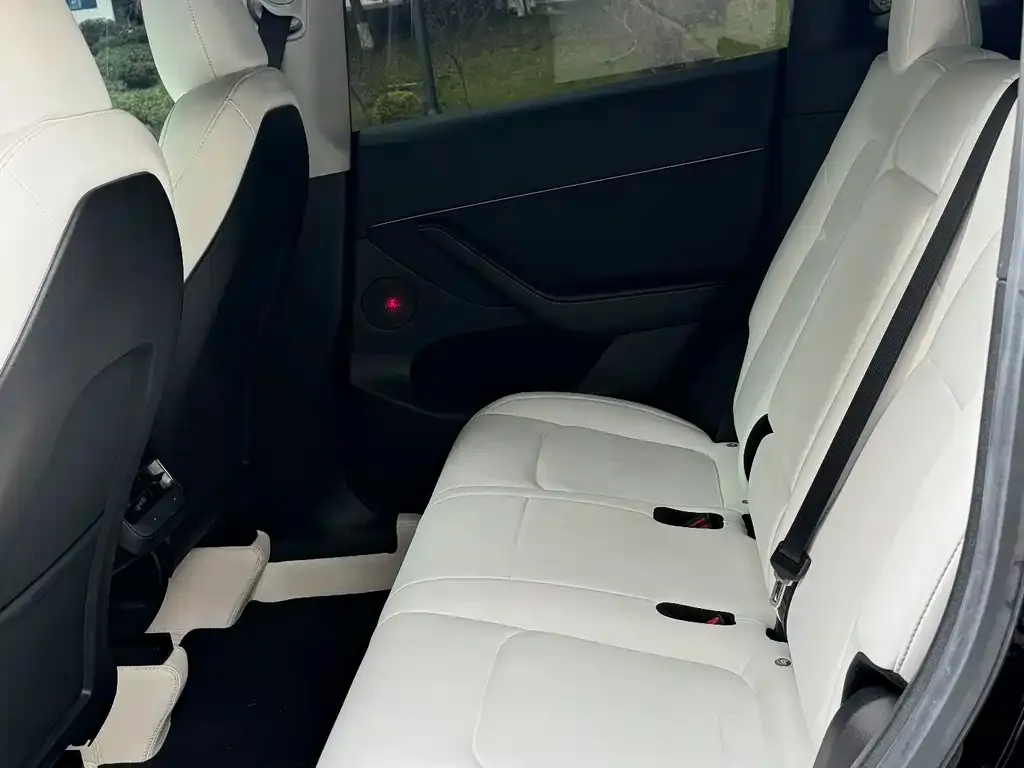 Tesla Model Y 2022 из CN, фото 2