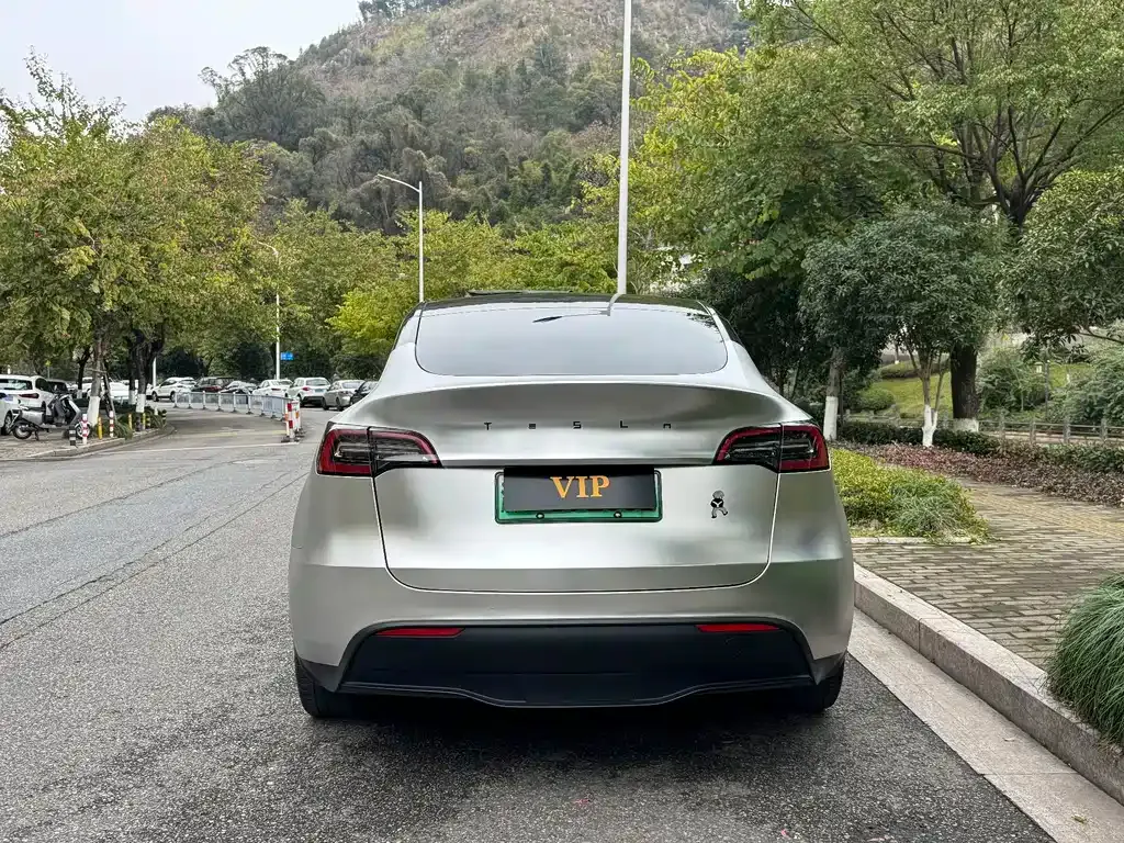 Tesla Model Y 2022 из CN, фото 7
