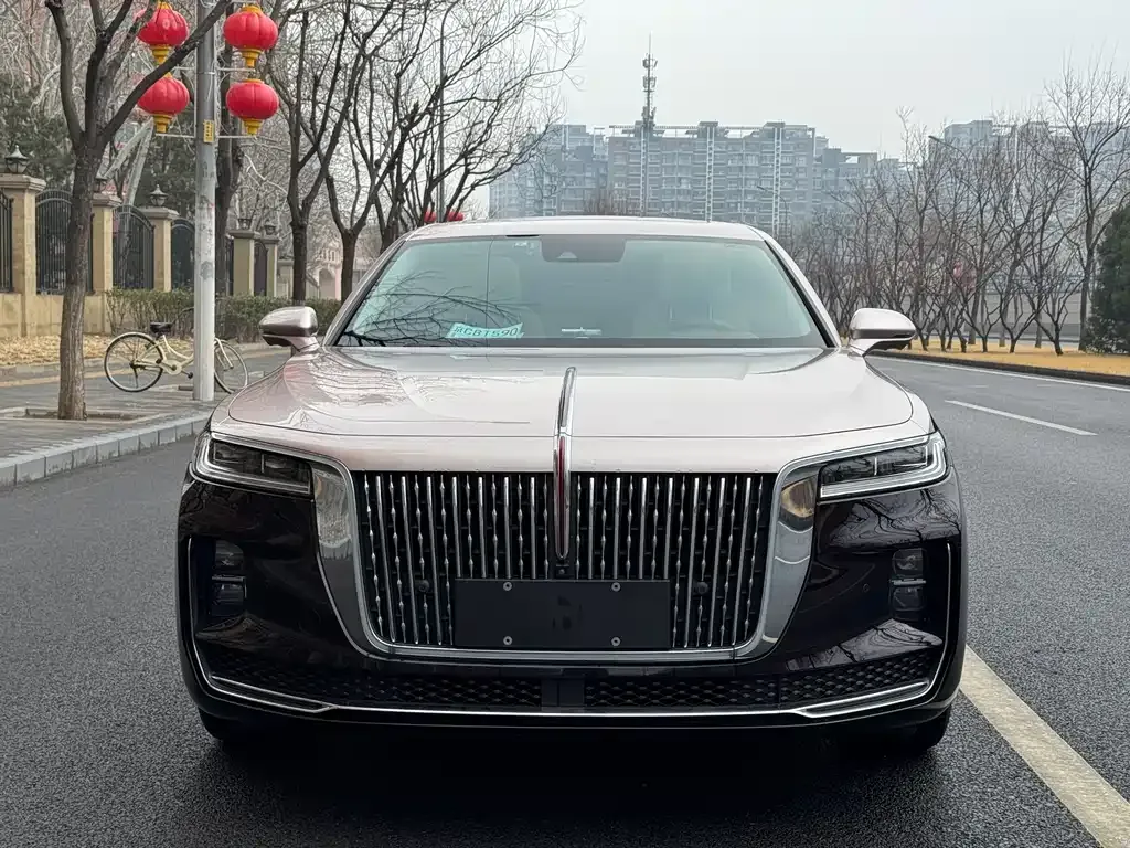 Hongqi H9 2022 из CN, фото 4