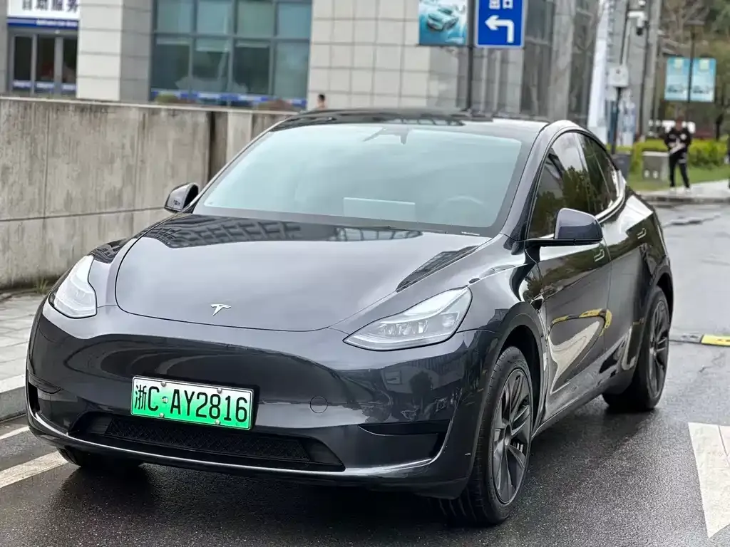 Tesla Model Y — фото 9