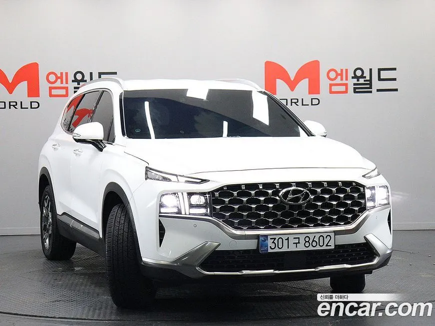Hyundai Santafe — фото 10