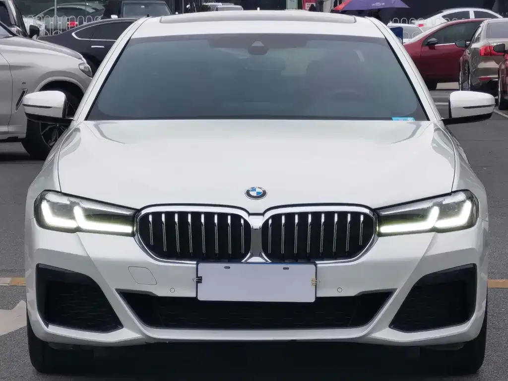 BMW 5 Series 2022 из CN, фото 2