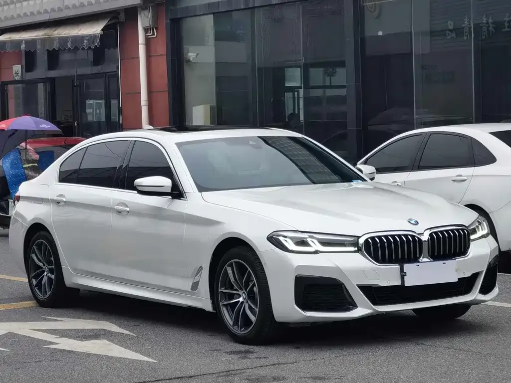 BMW 5 Series 2022 из CN, фото 4