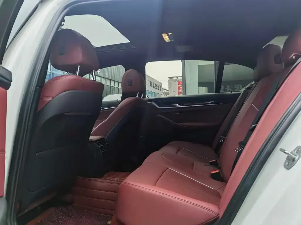 BMW 5 Series 2022 из CN, фото 5