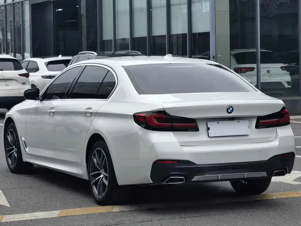 BMW 5 Series 2022 из CN, фото 9