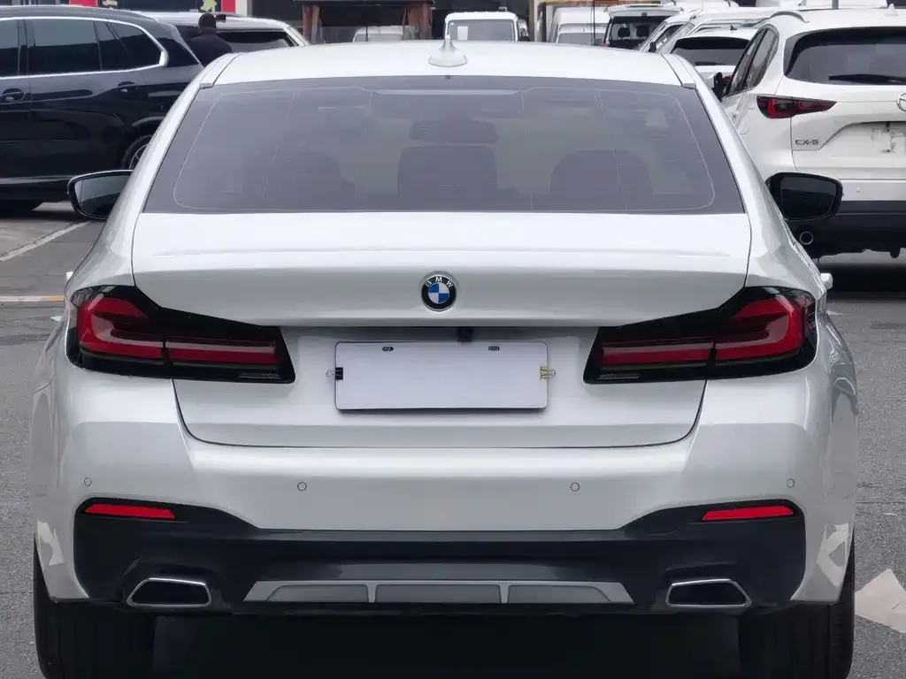 BMW 5 Series 2022 из CN, фото 7