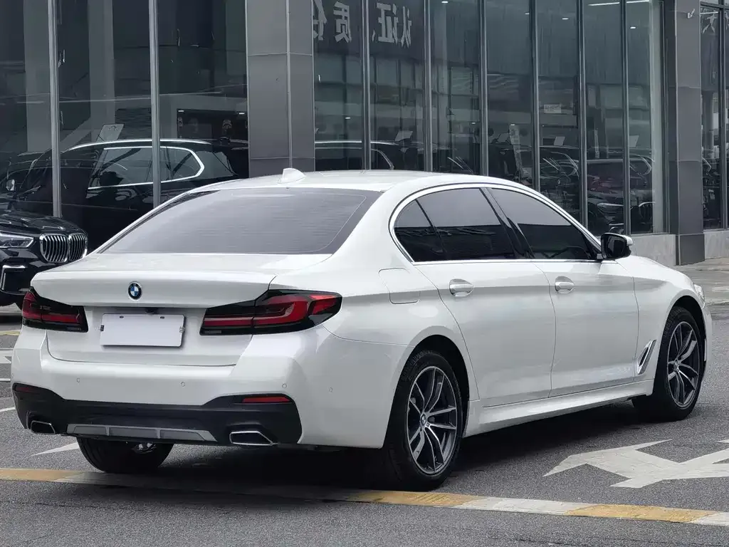 BMW 5 Series 2022 из CN, фото 8