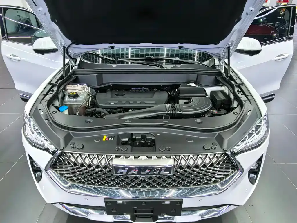 Haval F7x 2022 из CN, фото 6