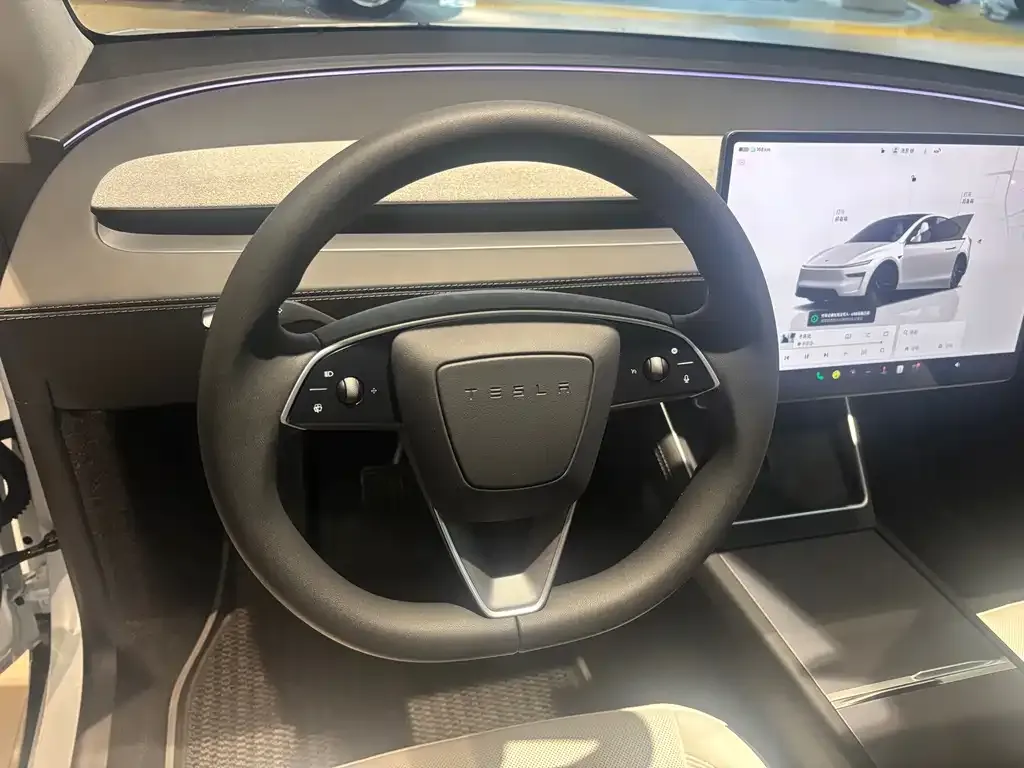 Tesla Model Y 2025 из CN, фото 8