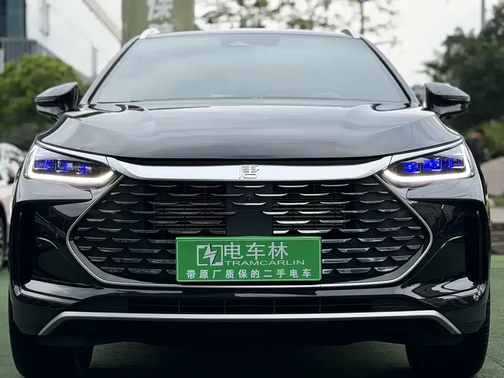 BYD Tang New Energy — фото 10
