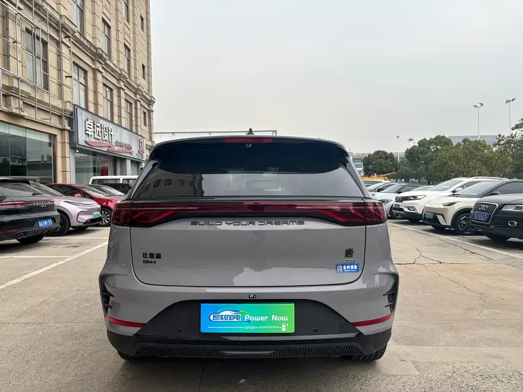BYD Tang New Energy — фото 10