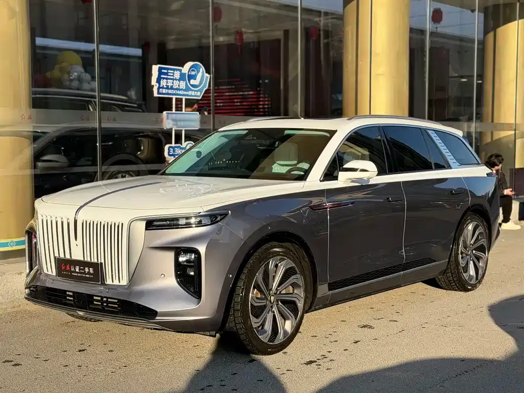 Hongqi E-HS9 2022 из CN, фото 1