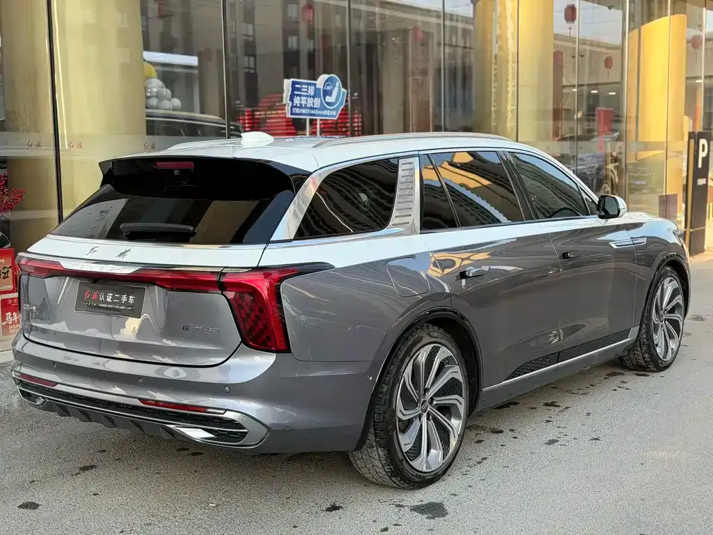 Hongqi E-HS9 2022 из CN, фото 9