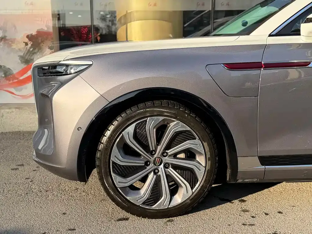 Hongqi E-HS9 2022 из CN, фото 6