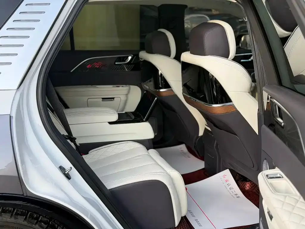 Hongqi E-HS9 2022 из CN, фото 3