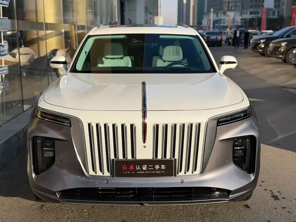 Hongqi E-HS9 2022 из CN, фото 8