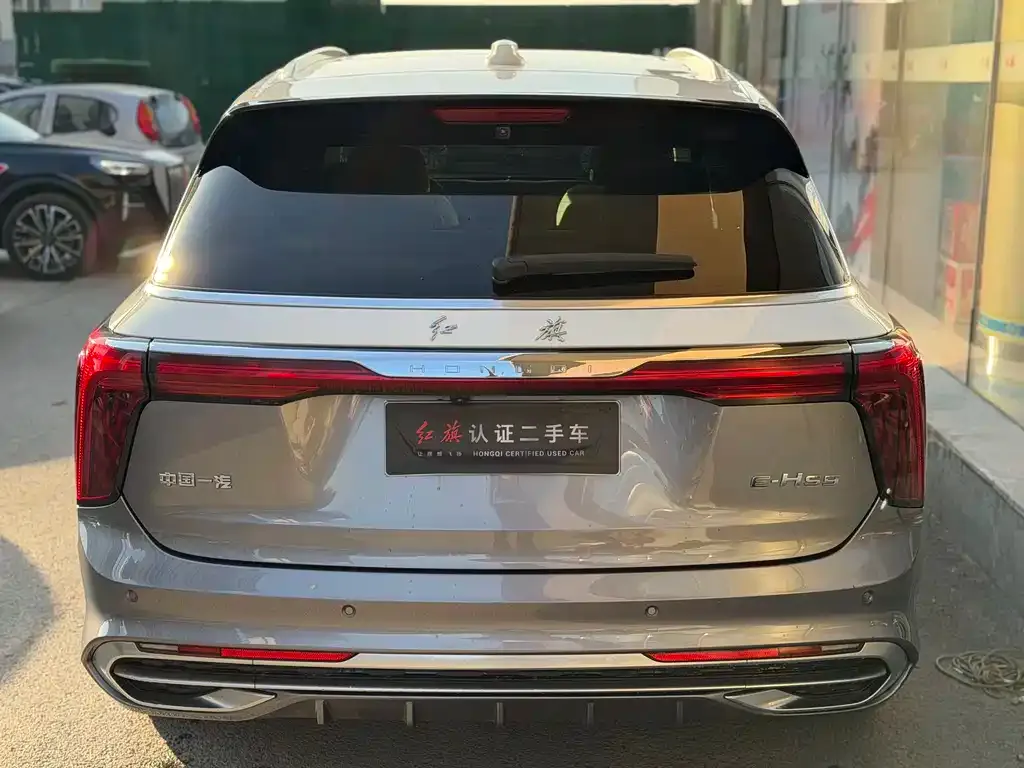 Hongqi E-HS9 2022 из CN, фото 4