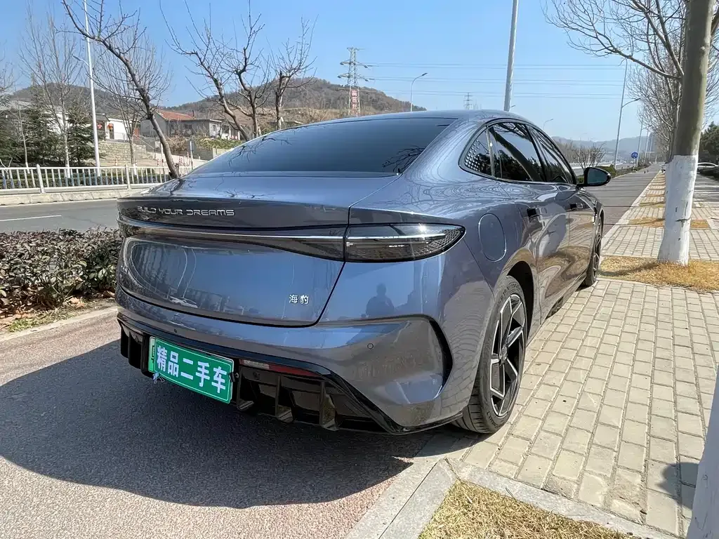 BYD Seal 2022 из CN, фото 8