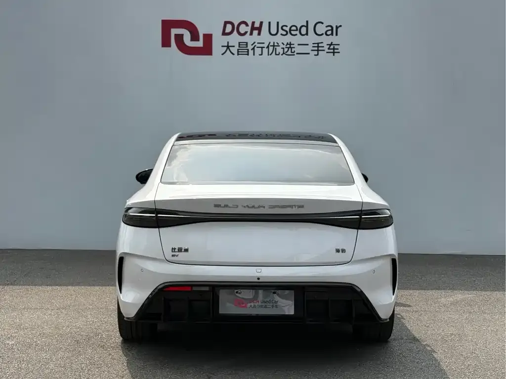 BYD Seal 2022 из CN, фото 3