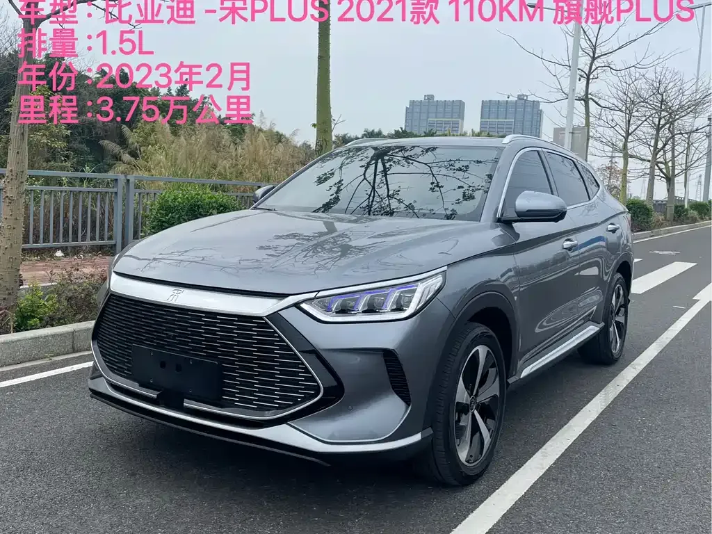 BYD PLUS New Energy — фото 2