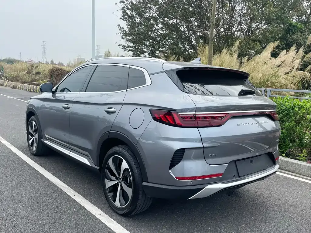 BYD PLUS New Energy — фото 9