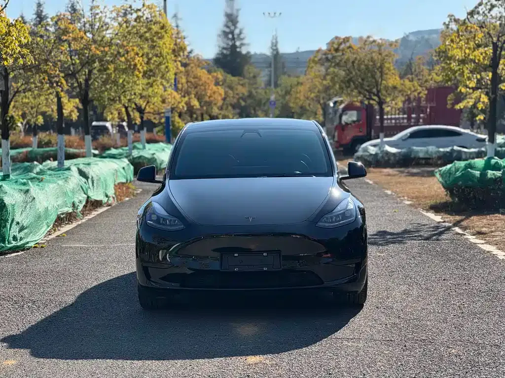 Tesla Model Y — фото 9