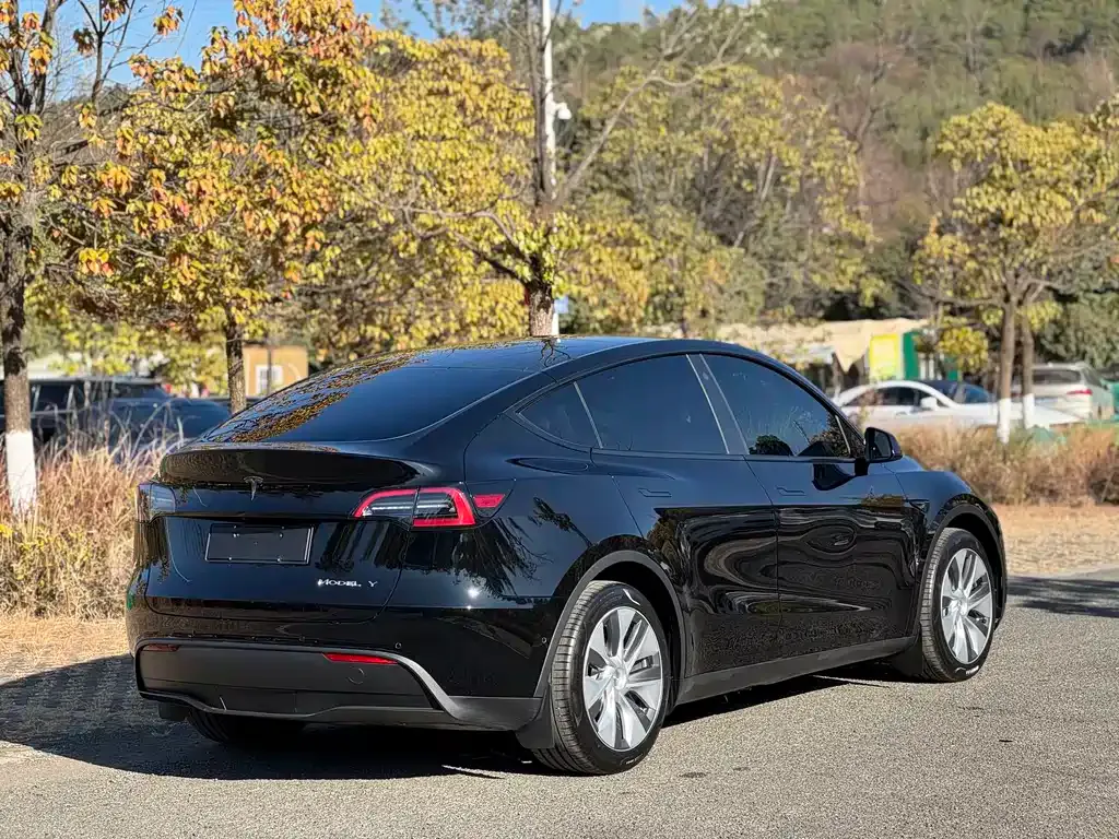 Tesla Model Y — фото 10
