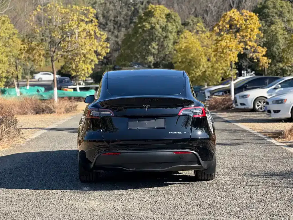 Tesla Model Y — фото 4