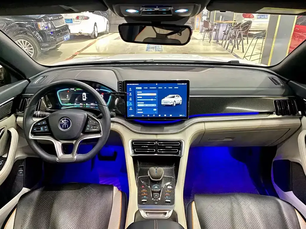 BYD PLUS New Energy 2022 из CN, фото 6