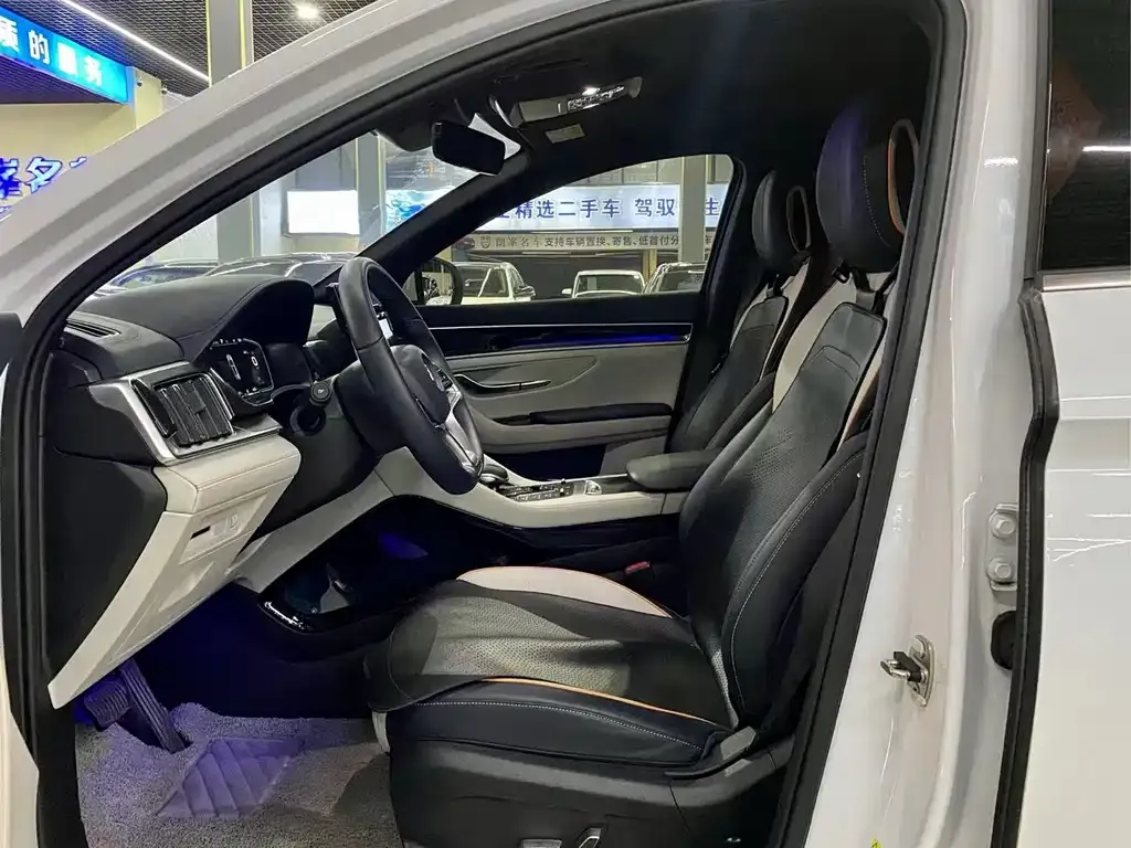 BYD PLUS New Energy 2022 из CN, фото 3