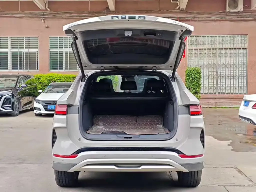 BYD PLUS New Energy — фото 6
