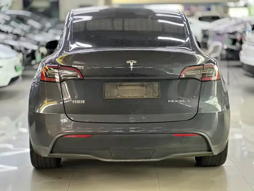 Tesla Model Y — фото 2