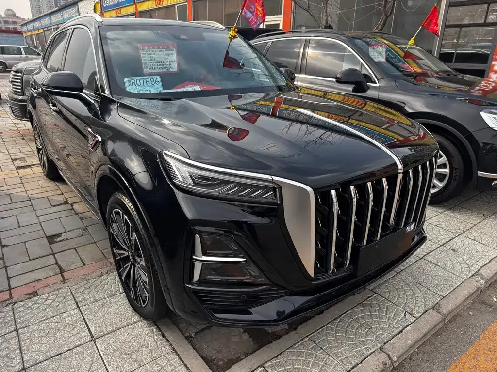 Hongqi HS5 2024 из CN, фото 8