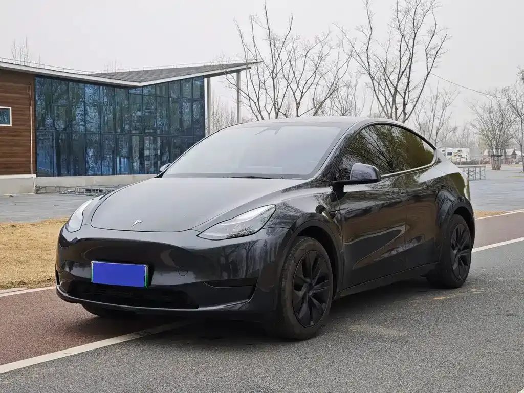 Tesla Model Y — фото 1