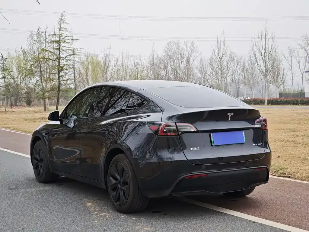 Tesla Model Y — фото 7