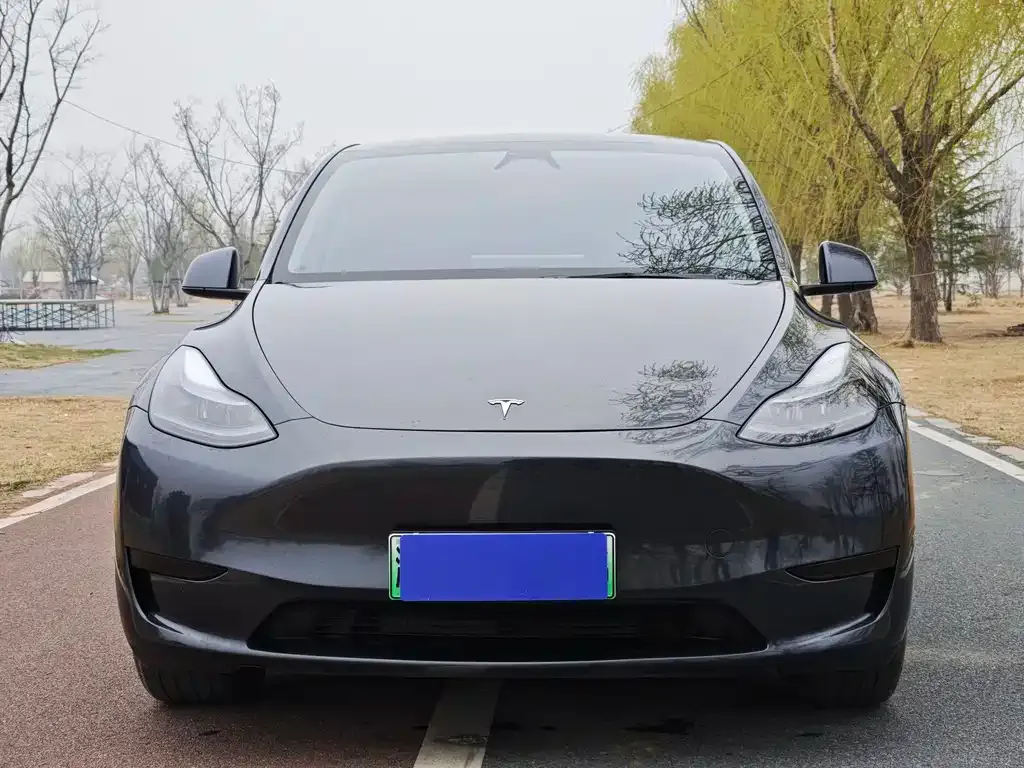 Tesla Model Y — фото 5