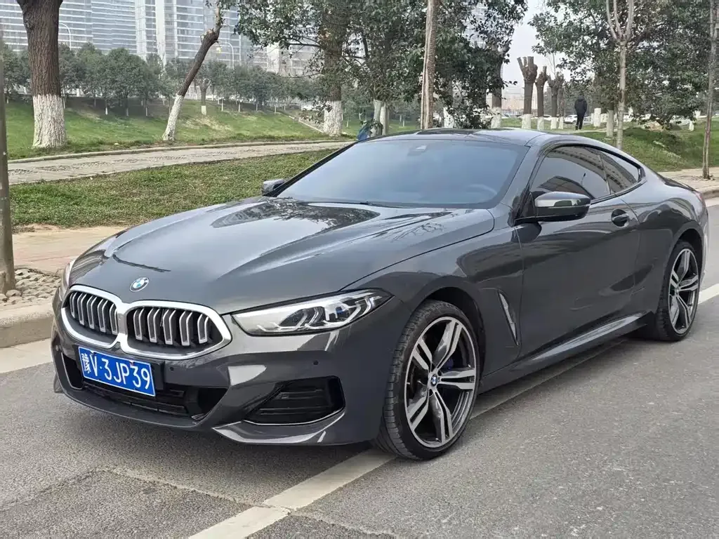 BMW 8 Series — фото 1