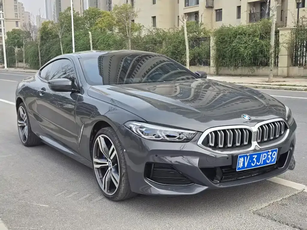 BMW 8 Series — фото 9