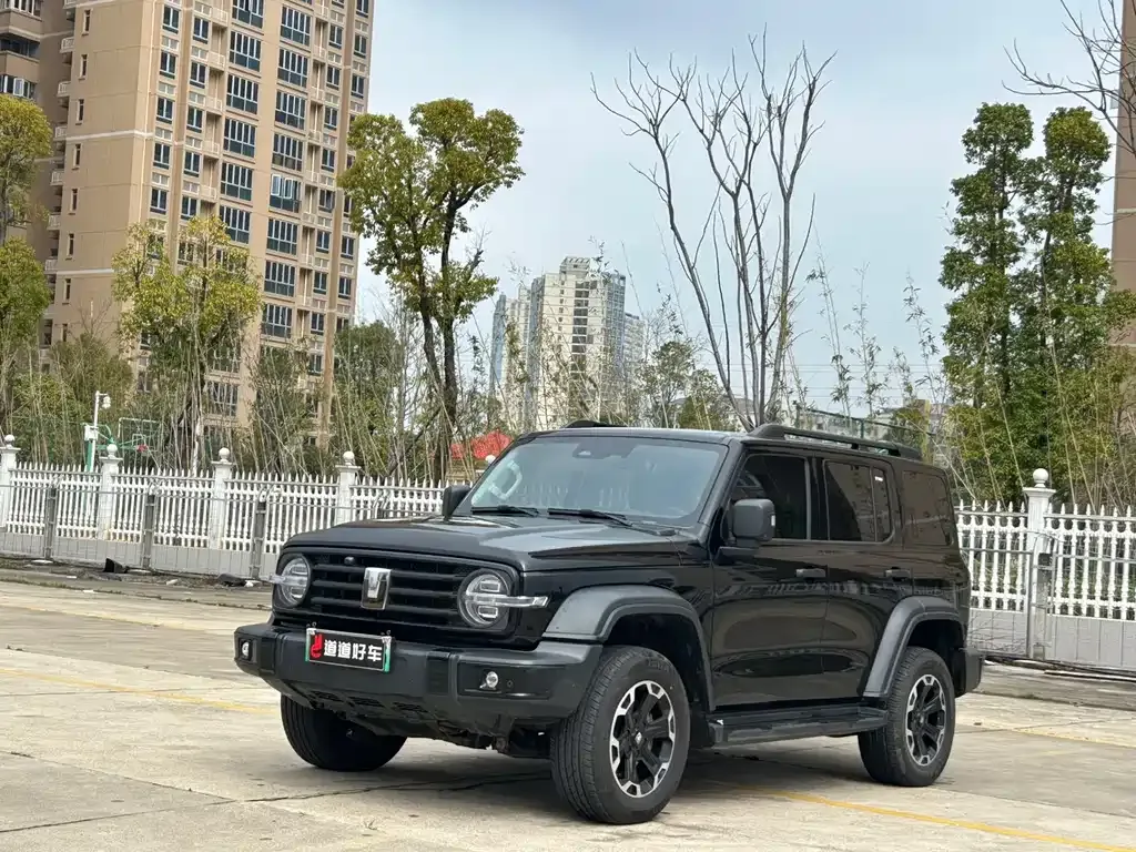 Tank 300 New Energy 2025 из CN, фото 1