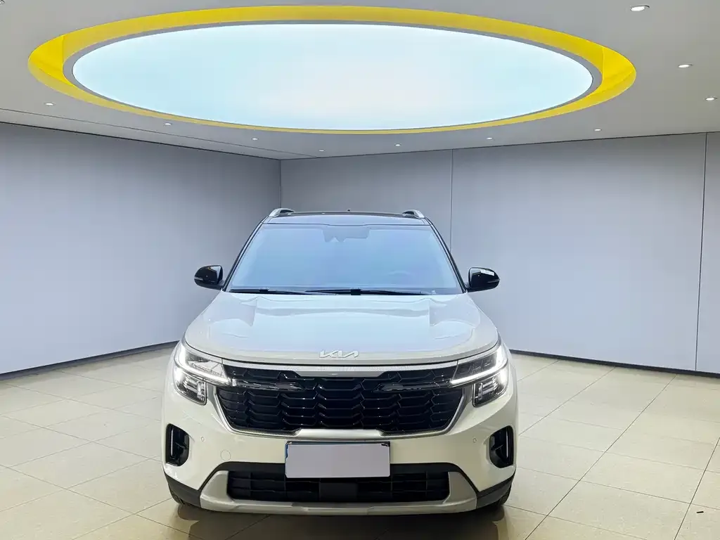 Kia Seltos 2023 из CN, фото 6