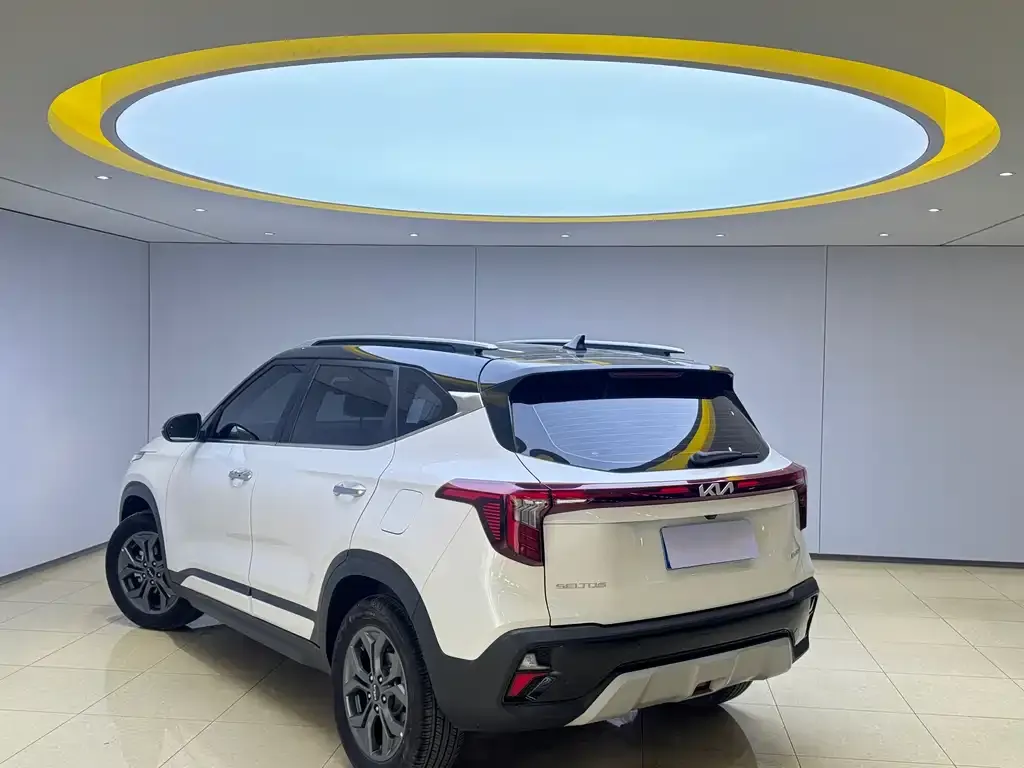 Kia Seltos 2023 из CN, фото 10