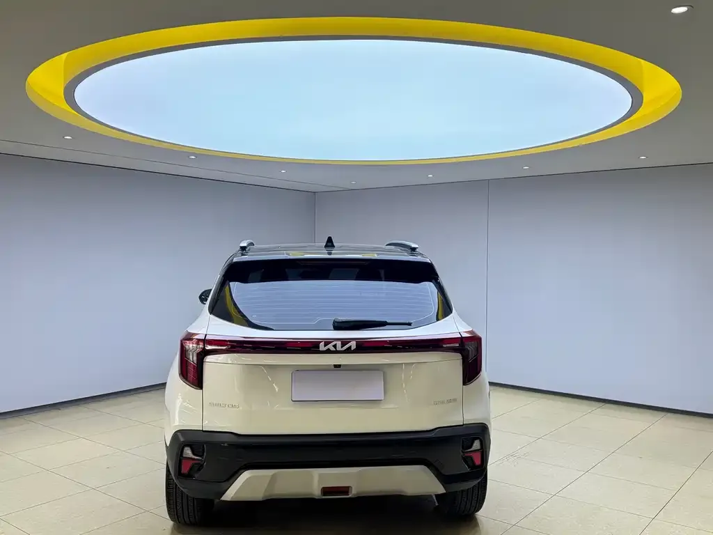 Kia Seltos 2023 из CN, фото 5